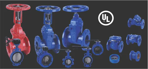 Ductile iron valves